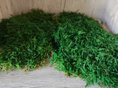 Stabilizovaný mach plochý - Flat moss