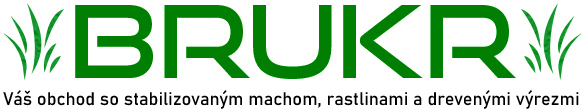 logo brukr